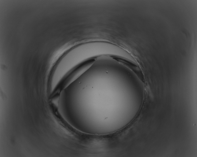 X0000090870248200708031015