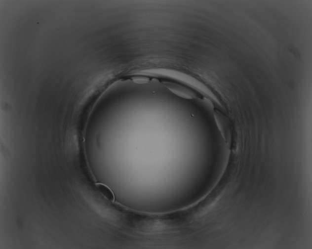 X0000090870254200708031015