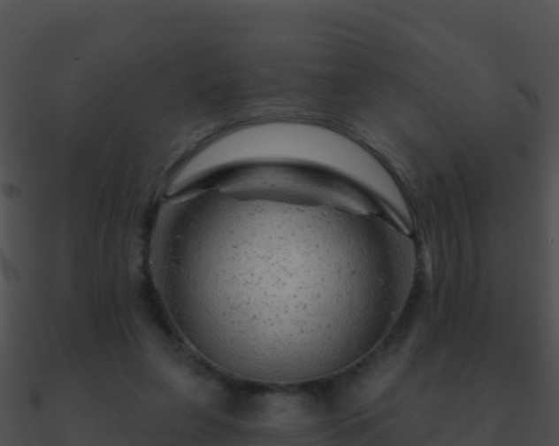 X0000090870255200708031015