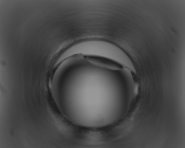 X0000090870256200708031015