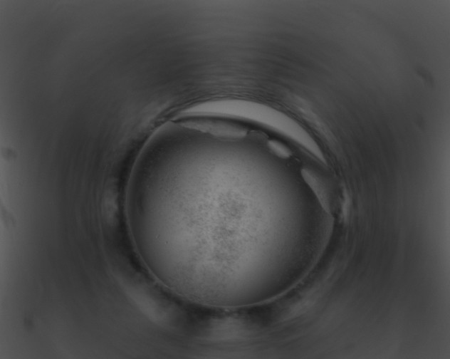 X0000090870259200708031015