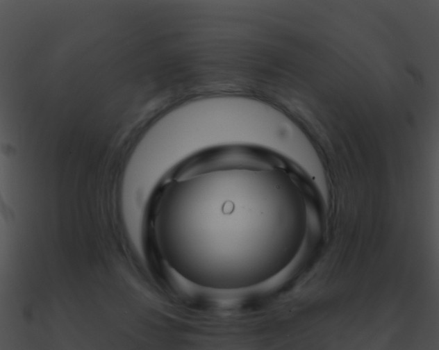 X0000090870260200708031015