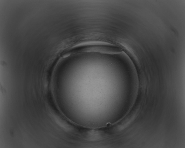 X0000090870261200708031015