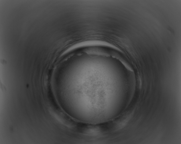 X0000090870263200708031015