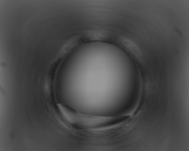 X0000090870265200708031015