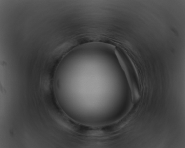 X0000090870266200708031015