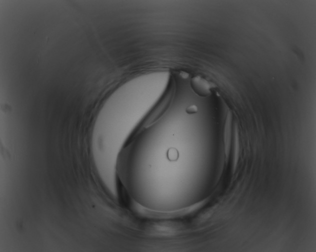 X0000090870268200708031015