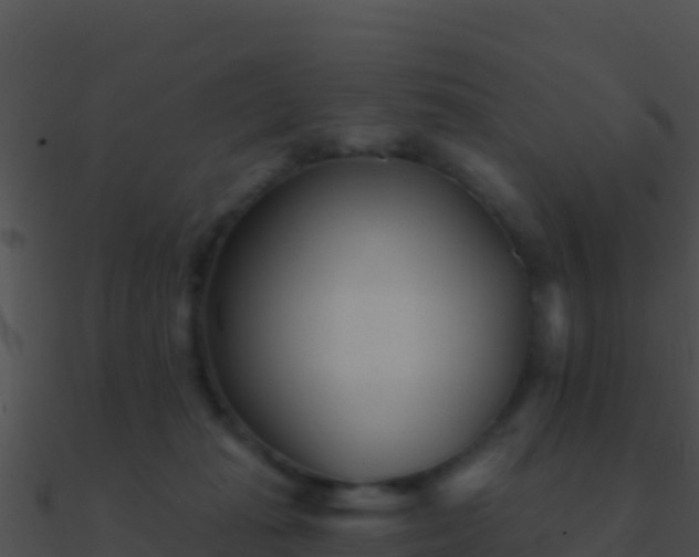 X0000090870269200708031015