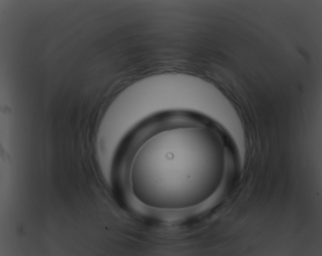 X0000090870276200708031015