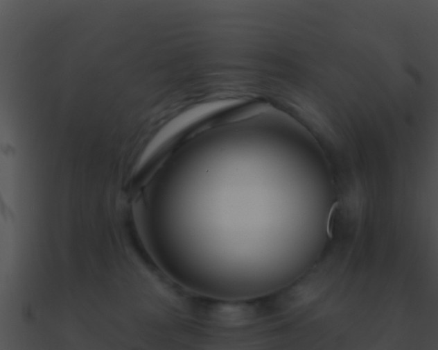 X0000090870277200708031015