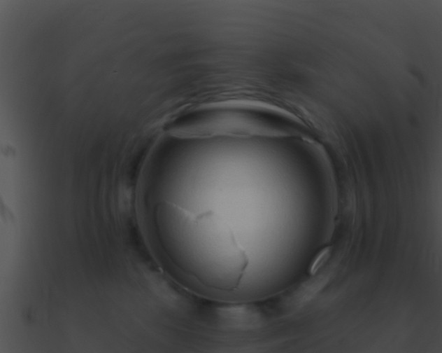 X0000090870281200708031015