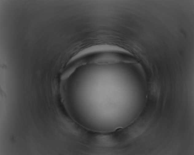 X0000090870283200708031015