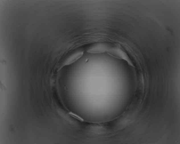 X0000090870284200708031015