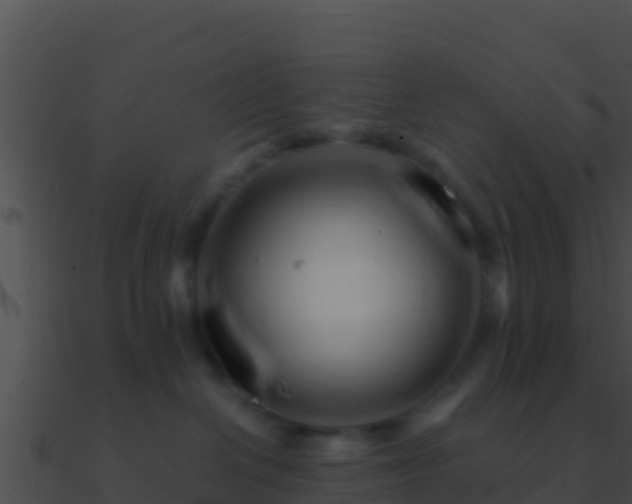 X0000090870286200708031016