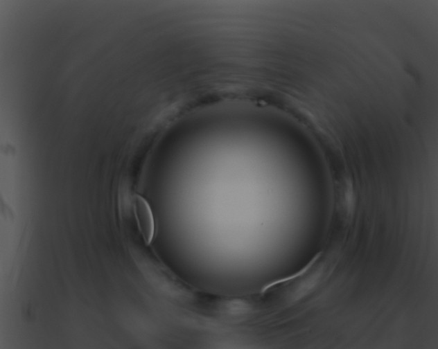 X0000090870287200708031016