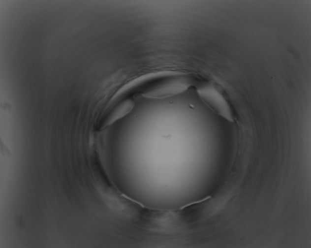 X0000090870288200708031016