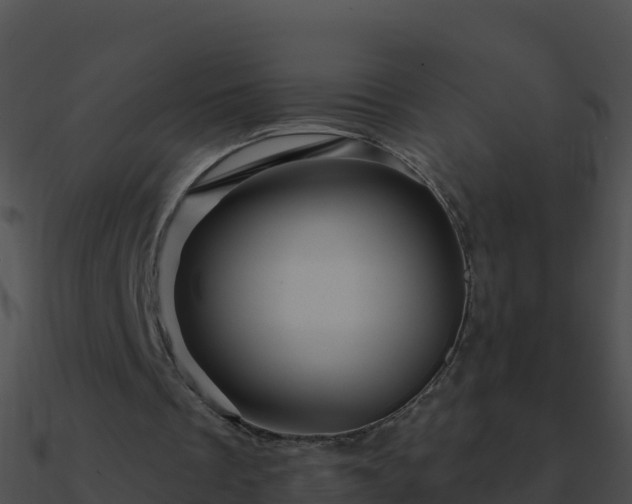 X0000090870289200708031015