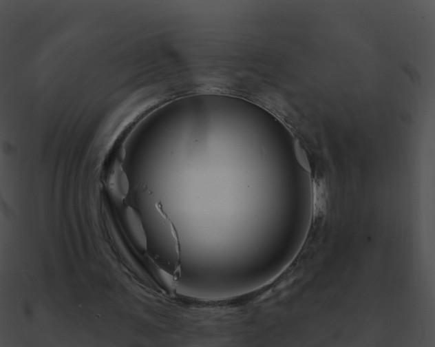 X0000090870291200708031015