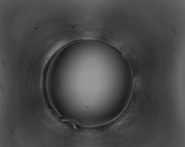 X0000090870292200708031015