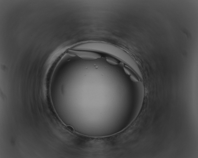 X0000090870294200708031015