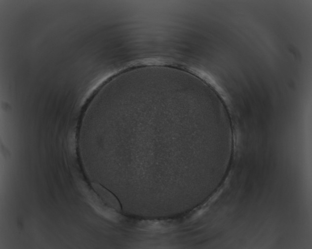 X0000090870297200708031014