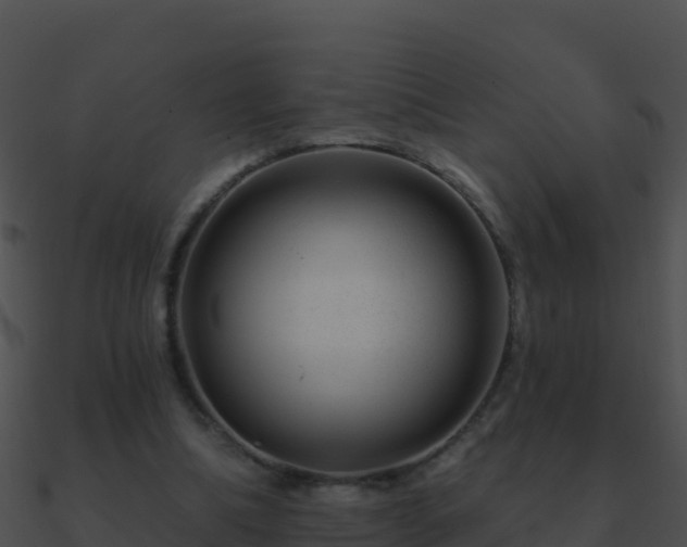 X0000090870298200708031014