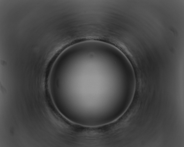 X0000090870299200708031014