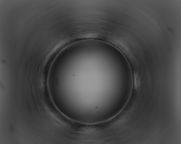 X0000090870300200708031014