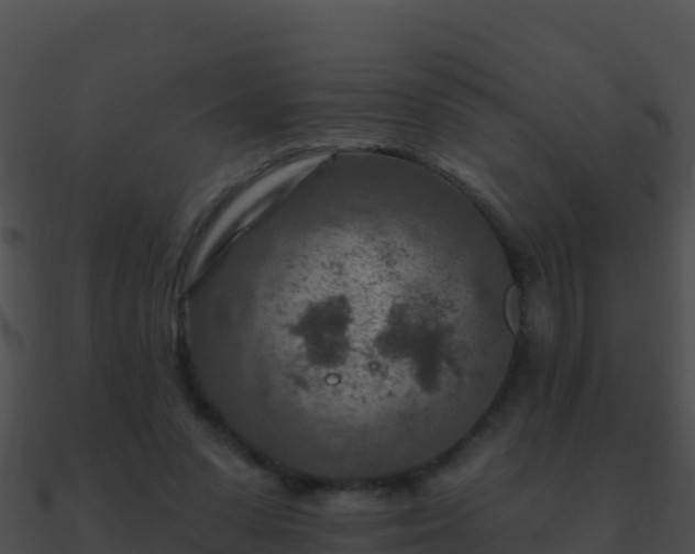 X0000090870303200708031014