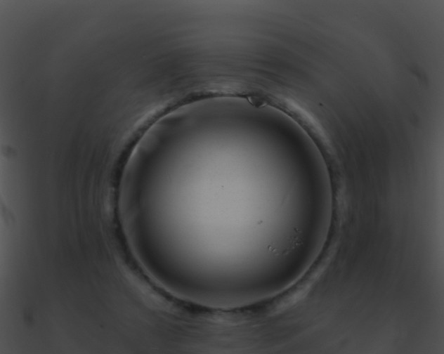 X0000090870305200708031014