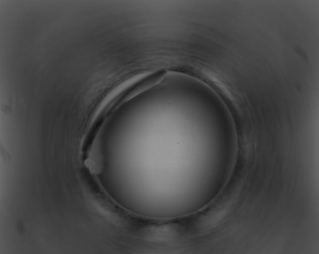 X0000090870307200708031014