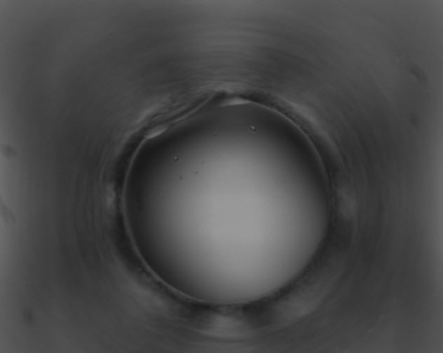 X0000090870308200708031014