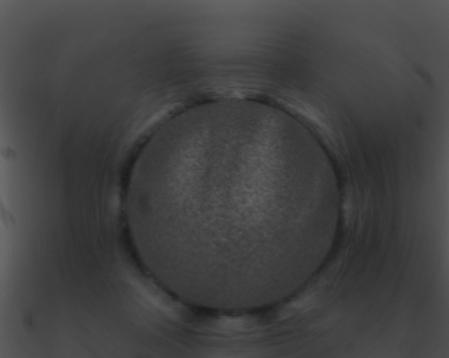 X0000090870314200708031014