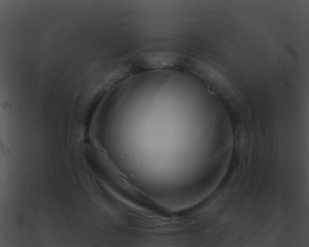 X0000090870315200708031014