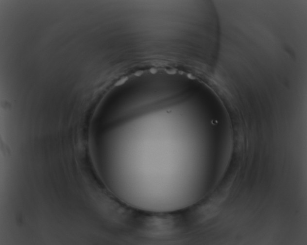 X0000090870317200708031014