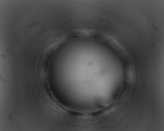 X0000090870318200708031014