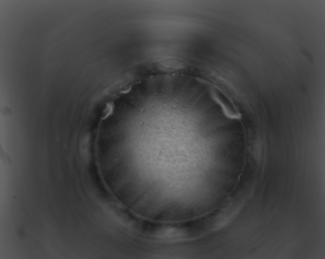 X0000090870319200708031014