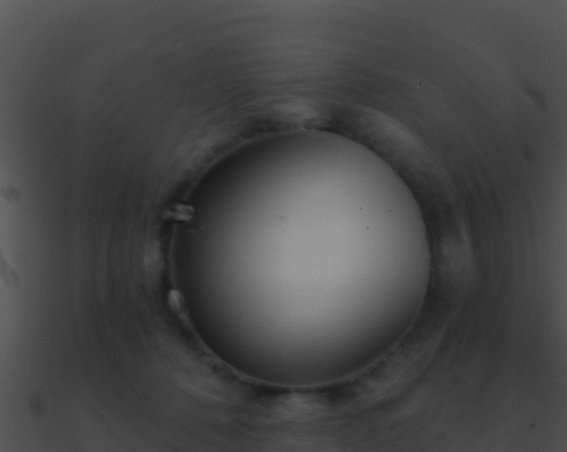 X0000090870320200708031014