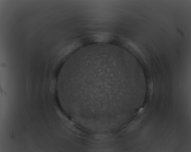 X0000090870325200708031014