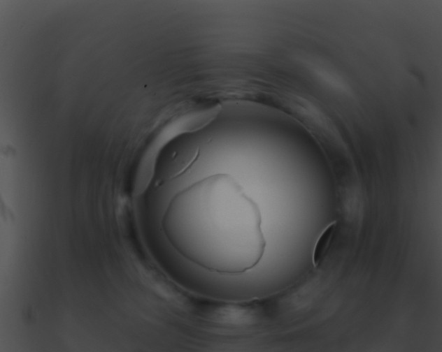 X0000090870326200708031014