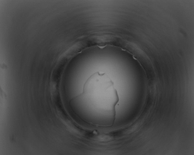 X0000090870327200708031014