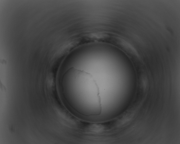 X0000090870328200708031014