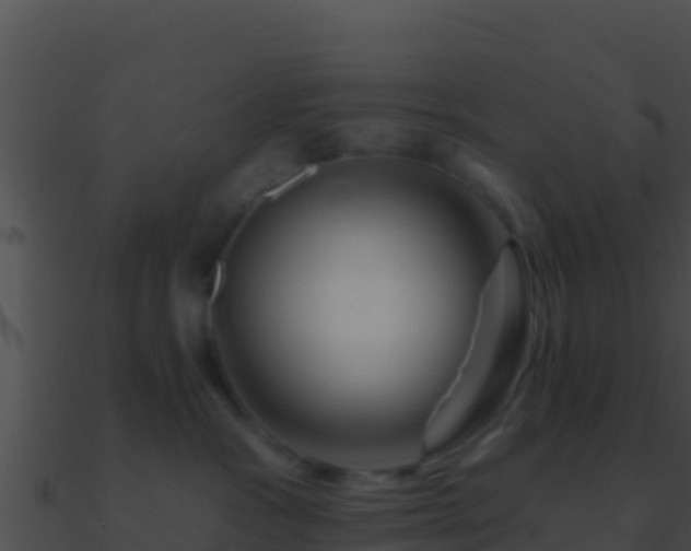 X0000090870333200708031014