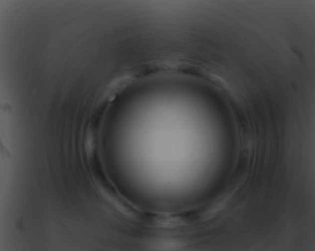 X0000090870334200708031014