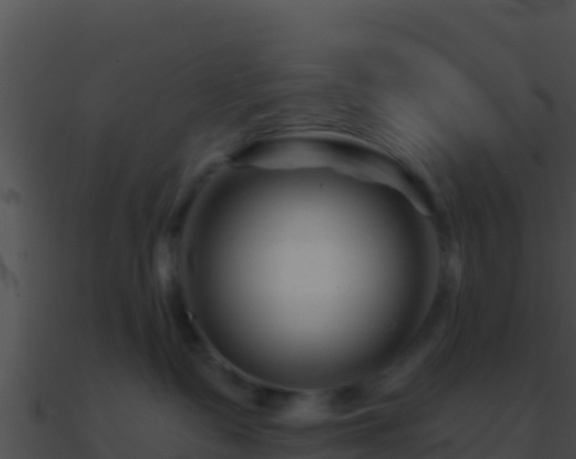 X0000090870335200708031014