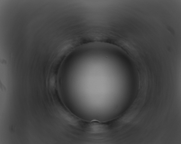 X0000090870336200708031014