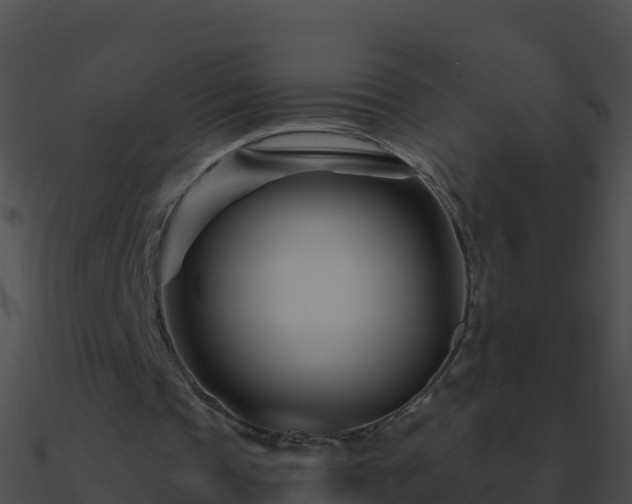 X0000090870337200708031013