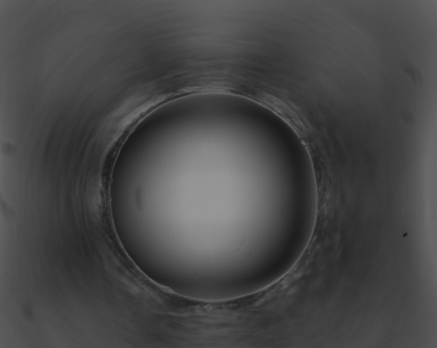 X0000090870338200708031013