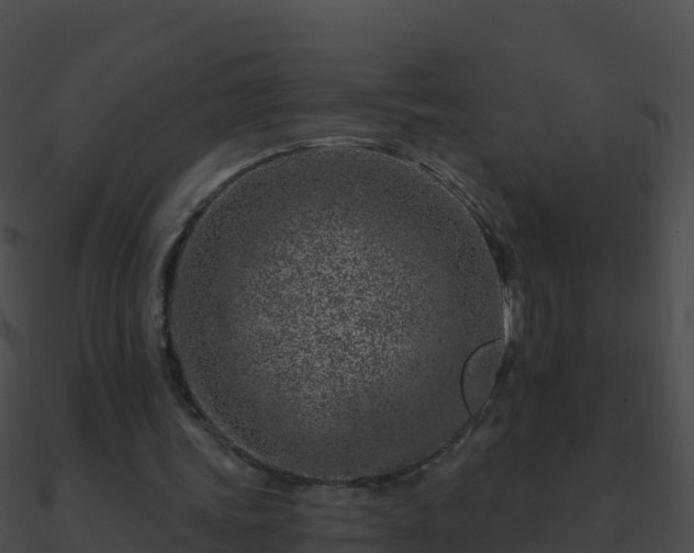 X0000090870339200708031013