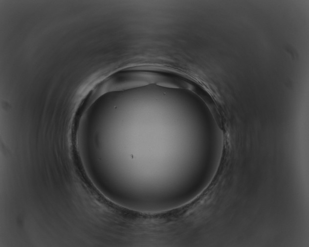 X0000090870340200708031013